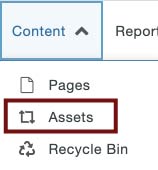 OU Campus CMS，裁剪为显示报告旁边的内容选项卡，具有页面、资产(在石榴石矩形中突出显示)和回收站的下拉选项。