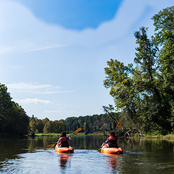 在一个阳光明媚的日子里，两个人划着皮划艇，在湛蓝的天空下，沿着一条平静的河流划行。