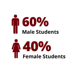 信息图:60%的男生，40%的女生