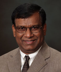 Krishna Mandal教授