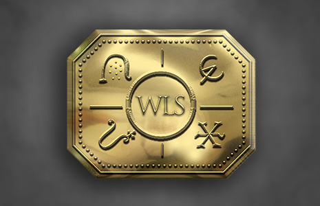 WLS标志