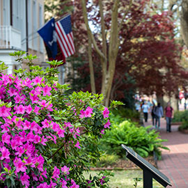 在马蹄形上总统的房子外面，鲜花盛开，那里飘扬着美国国旗和南卡罗来纳州的国旗。