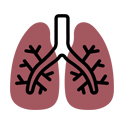 肺的图标