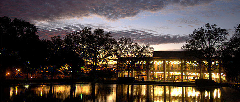 托马斯库伯图书馆和喷泉的外部视图在美丽的日落