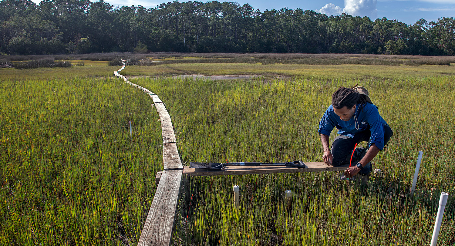学生们站在沼泽中央的一块木板上采集样本进行研究。
