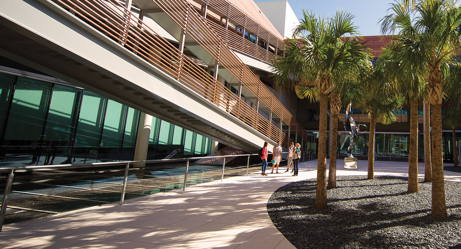 四名学生聚集在达拉摩尔商学院(Darla Moore School of Business)的院子里，左边是楼梯，右边是棕榈树。