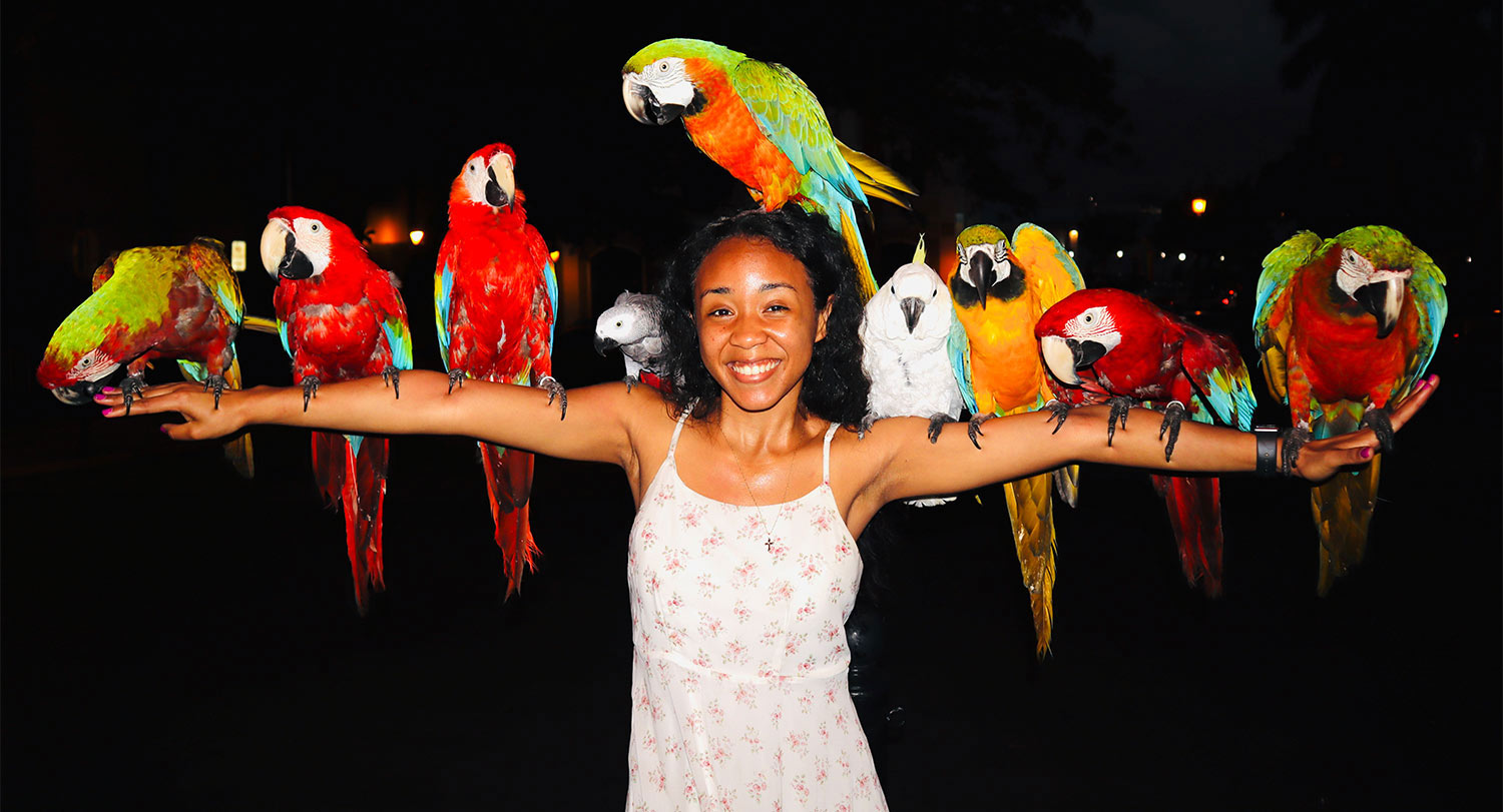 一名学生，她张开的双臂上坐着五颜六色的小鸟。