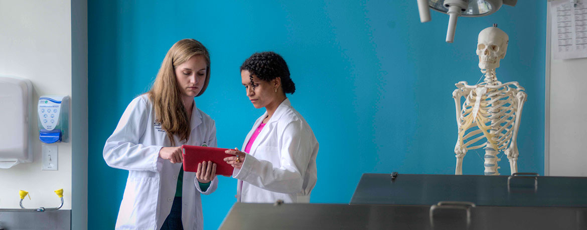两个穿着实验服的学生在实验室里研究病人档案