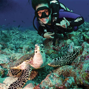 学生水肺潜水与海龟。