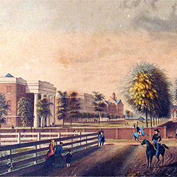 历史的马掌的例证从1850的与砖瓦房和墙壁面前在与棕榈树的绿色空间内衬。