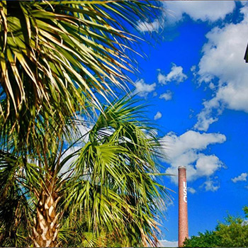 棕榈树在美丽的蓝天和几朵云前，还有南加州大学的大烟囱。