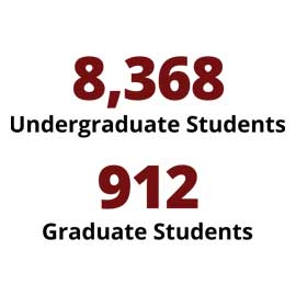 信息图：8,368本科，912名研究生