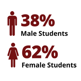 信息图：38%的男生，62%的女生