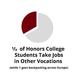 信息图表:1/3的荣誉学院学生从事其他职业(1人背包旅行欧洲)