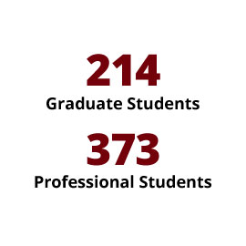 信息图:214名研究生，373名专业学生