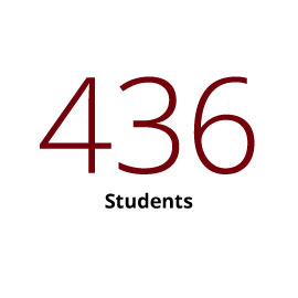图表:436学生