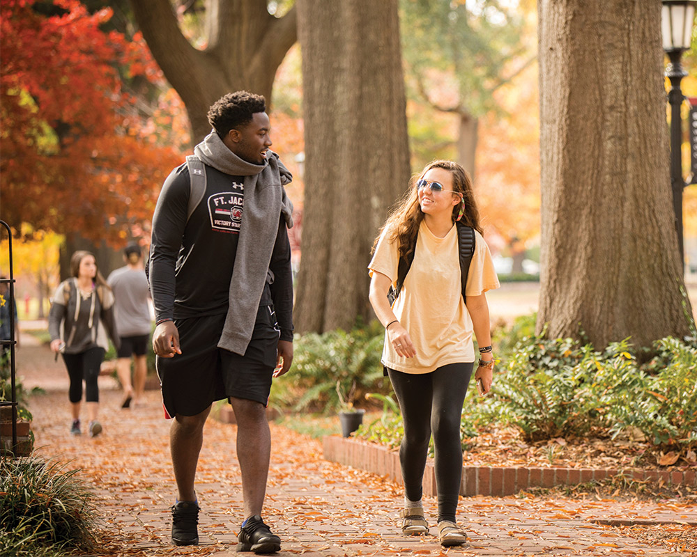 两个学生走在一个美丽的秋日砖路。
