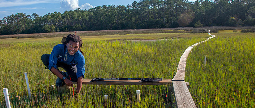 卡玛丽·博伊德(Kamari Boyd)在狭窄的木板路上行走，参加一项关于盐沼中有机物分解的全球研究。