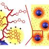 低硫代吩聚合物接枝钛酸钡(BaTiO3)作为新型介电纳米复合材料