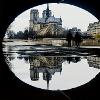 “这张照片是巴黎圣母院的反射照片，它被一座横跨塞纳河旁走道的桥的拱门所映衬。”