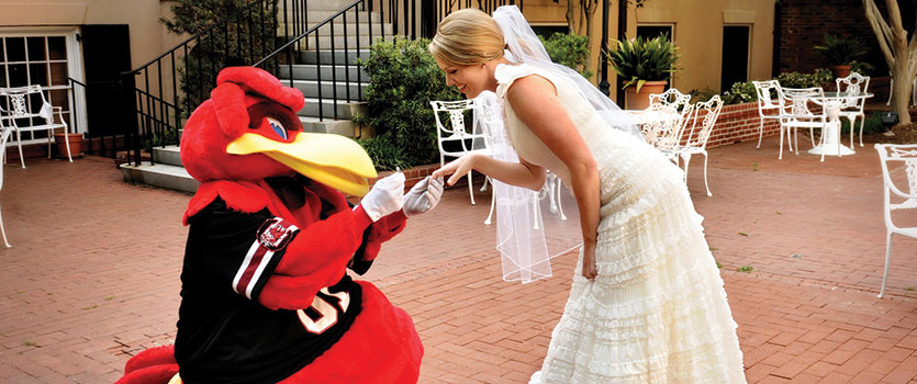 在历史悠久的McCutchen宅邸的露台上，Cocky向一位脸红的新娘求婚。