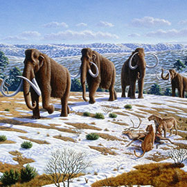 冰河时代的动物