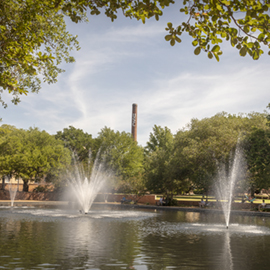 在校园的喷泉在托马斯库珀图书馆前面有校园烟囱的在背景中。