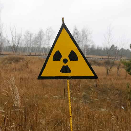 黑黄相间的核警告标志矗立在一片高高的草丛中