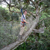 在厄瓜多尔的亚马逊地区，Kneas站在森林树冠上行走。