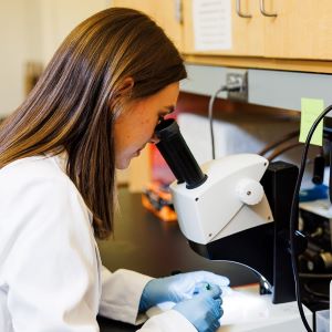 学生研究员劳伦·特纳在梅丽莎·诺兰的实验室里看着显微镜。