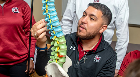 学生在看一个彩色的脊椎模型。