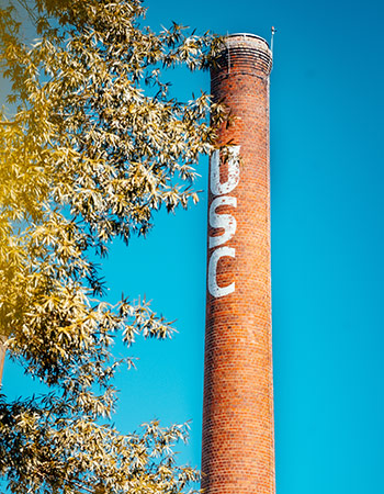 在蓝天的映衬下，有“USC”字样的烟囱被树枝围了起来。