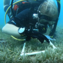 希瑟·戴着水下呼吸器,是海底附近的海底研究生物。