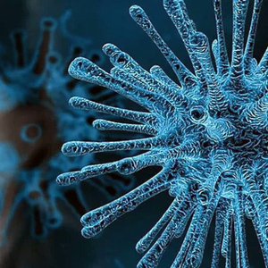 一幅用蓝色描绘冠状病毒分子的图形